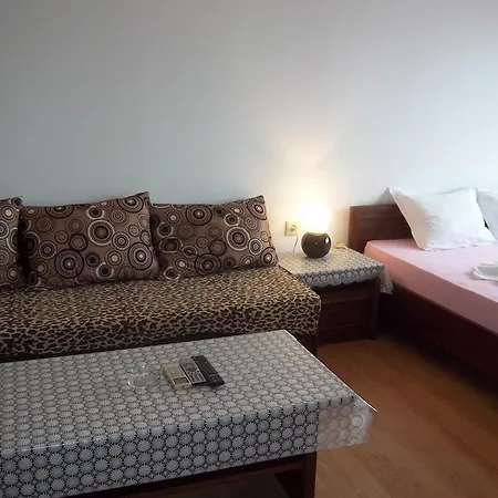 Bachvarovi Guest house *