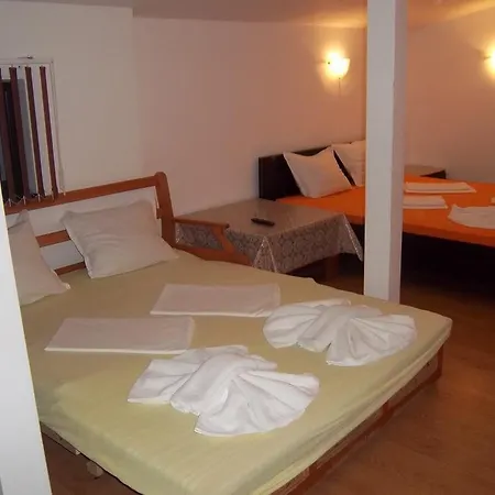 Bachvarovi Guest house *
